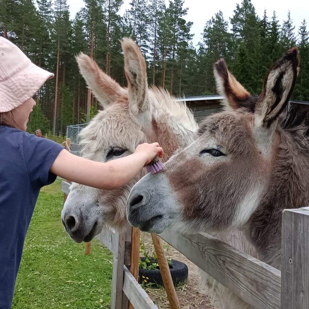 Käärmekallion eläinpiha