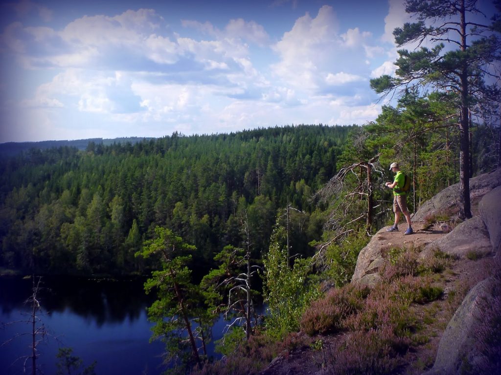 Lasten kanssa Repoveden kansallispuistoon