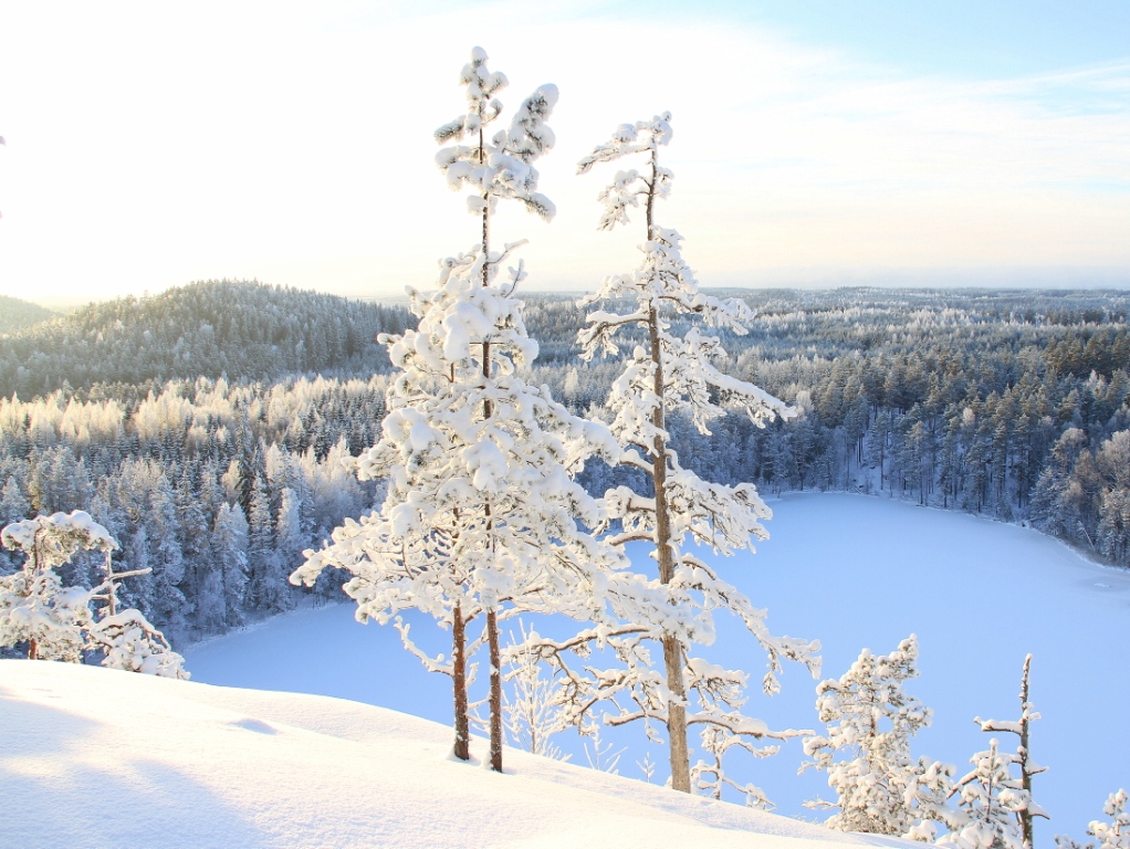 Repoveden kansallispuisto