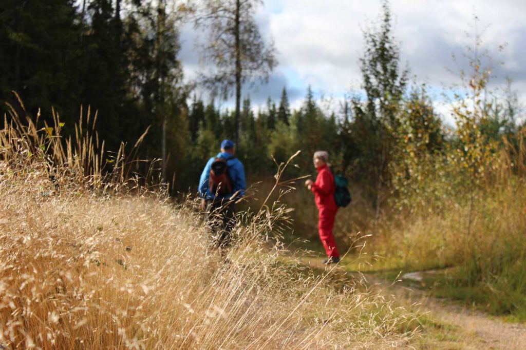 Opastetut luontoretket Mäntyharjusta