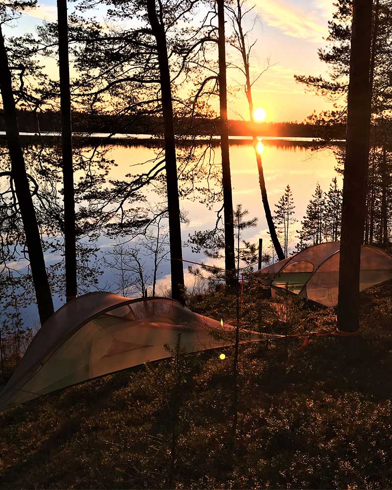 Tentsile – nuku puussa mäntyjen keskellä!